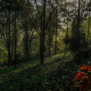 Southern Panorama Indriya & Munnar
