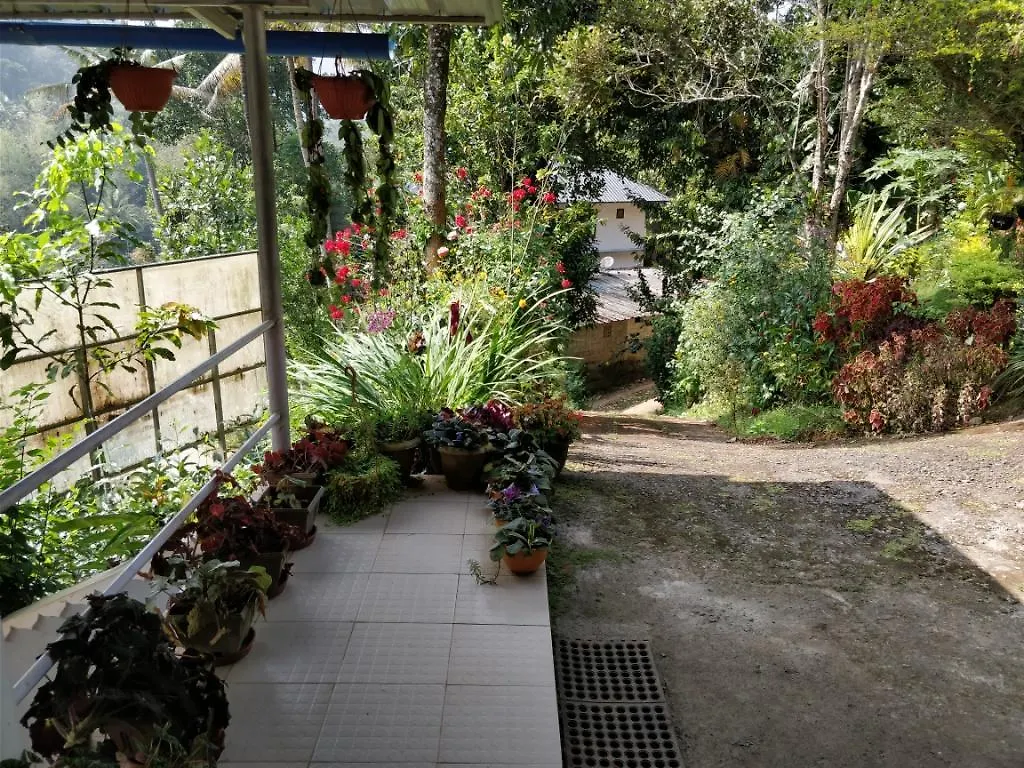 Guest house River View Inn Munnar India
